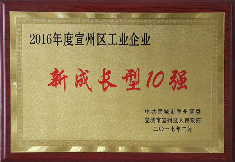 2016年榮獲宣州區工業企業新成長型10強